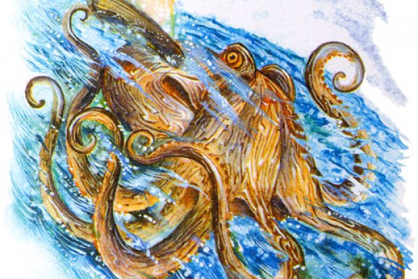 Kraken market