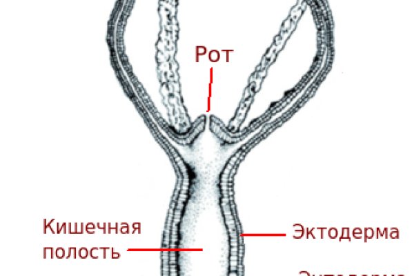 Kraken 14 at сайт