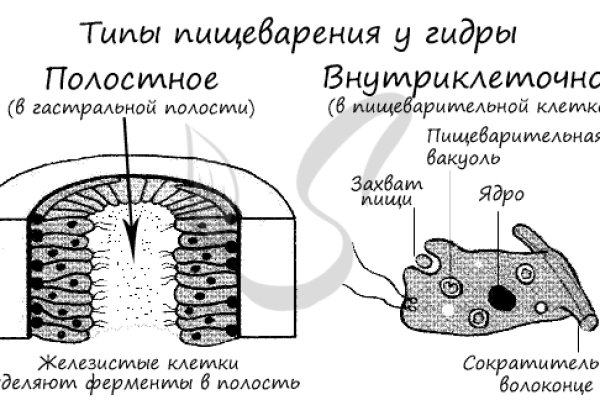 Ссылка на кракен шоп