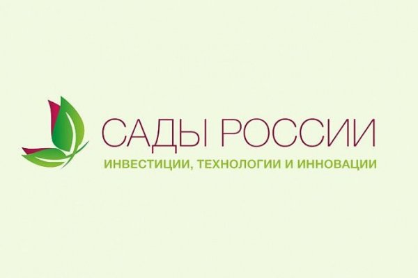 Кракен маркет что